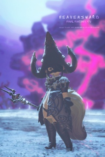 ~v23
