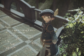 ~v24